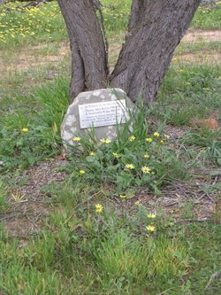 Susannah Barker Headstone