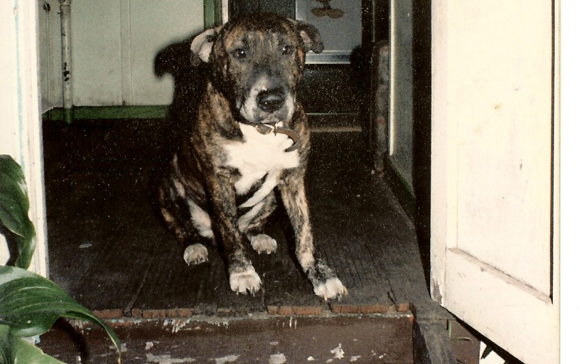 Bruce