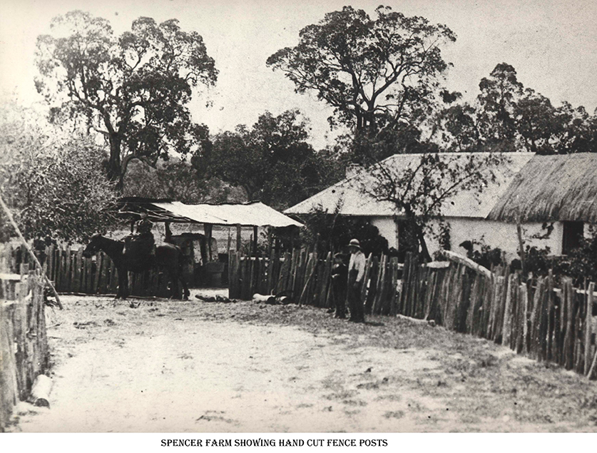 Spencer Farm