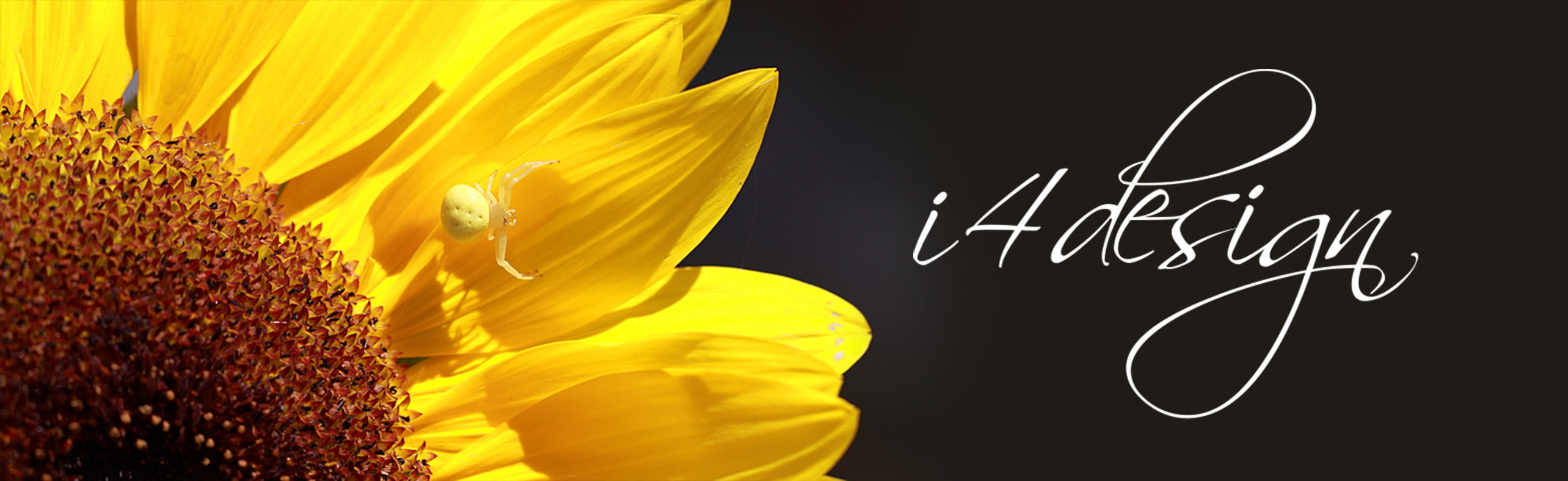 Images from the Great Southern of WA by Kelly Logan