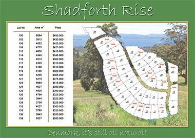 Shadforth Rise Flyer Back